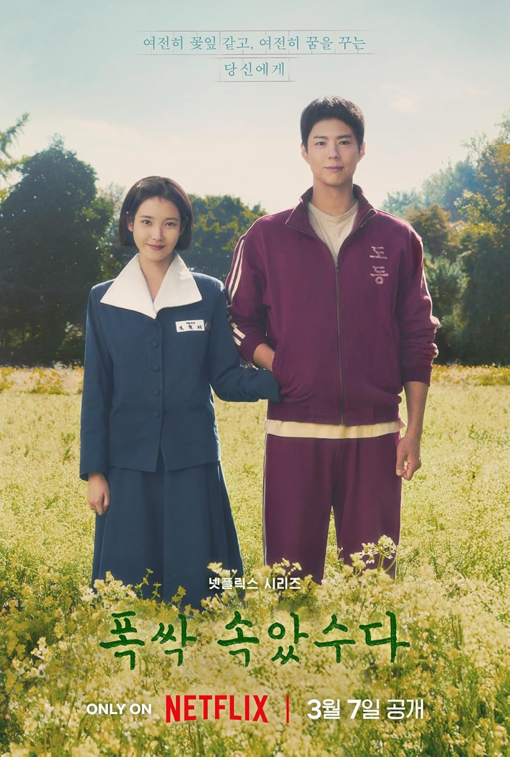 [넷플릭스] 폭싹 속았수다 공식 예고편 - 아이유 박보검 드라마